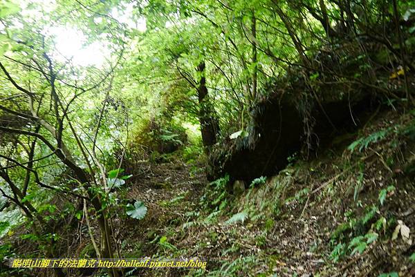 P1370707.jpg P1370707.jpg