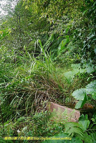 P1370709.jpg P1370709.jpg