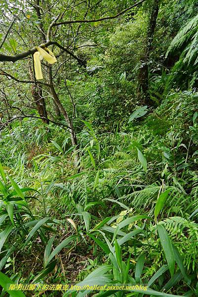 P1370711.jpg P1370711.jpg