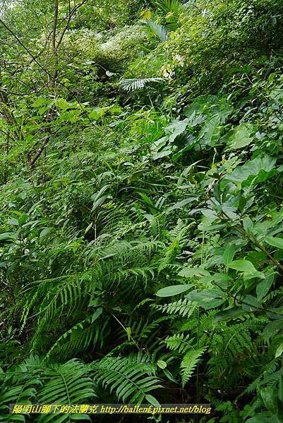 P1370712.jpg P1370712.jpg