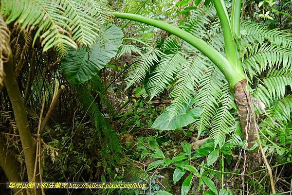 P1370713.jpg P1370713.jpg