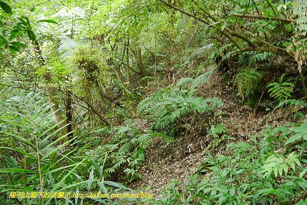 P1370714.jpg P1370714.jpg