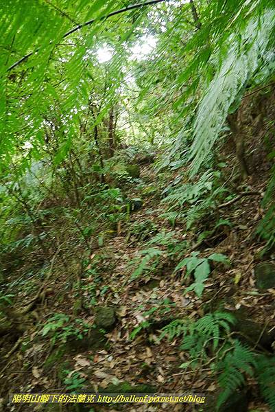 P1370715.jpg P1370715.jpg