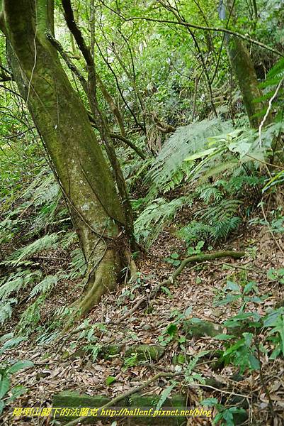 P1370716.jpg P1370716.jpg