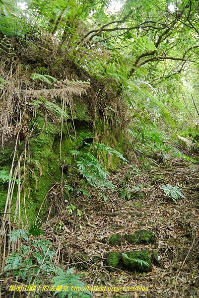 P1370717.jpg P1370717.jpg