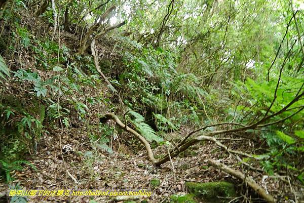 P1370719.jpg P1370719.jpg