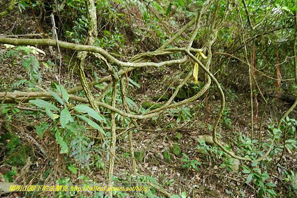 P1370720.jpg P1370720.jpg