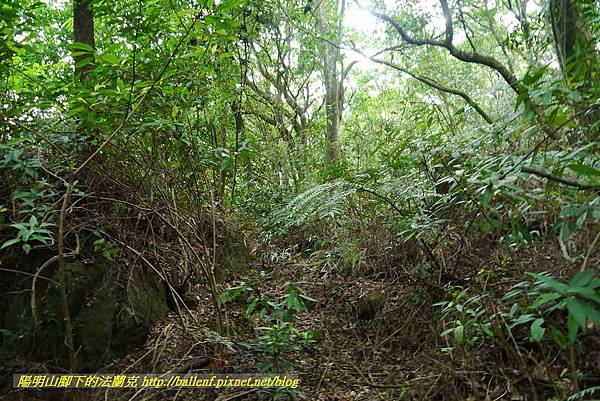 P1370722.jpg P1370722.jpg