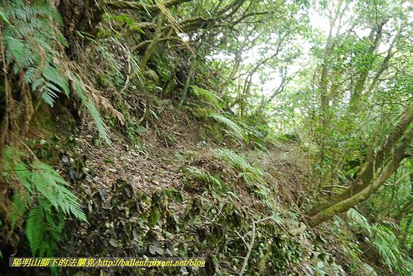 P1370721.jpg P1370721.jpg