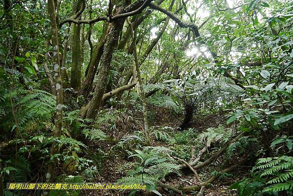 P1370723.jpg P1370723.jpg