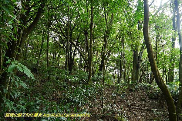 P1370725.jpg P1370725.jpg