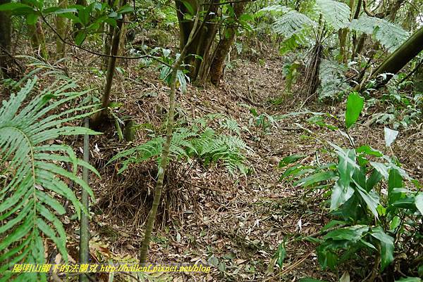 P1370724.jpg P1370724.jpg