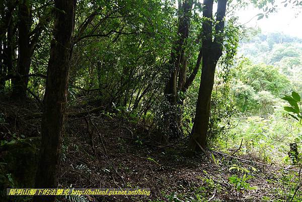 P1370726.jpg P1370726.jpg