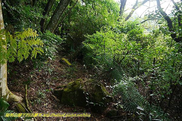 P1370727.jpg P1370727.jpg