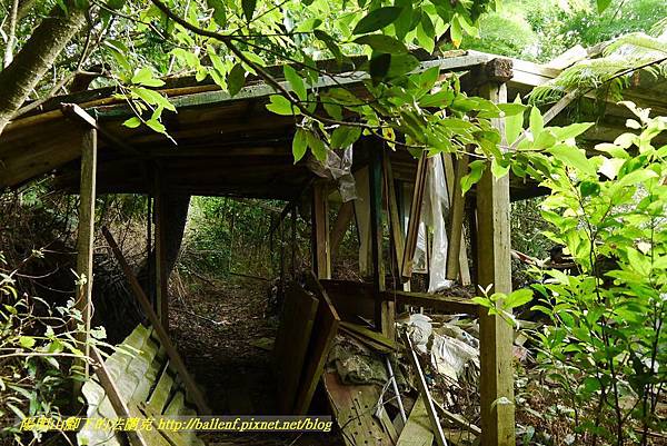 P1370728.jpg P1370728.jpg