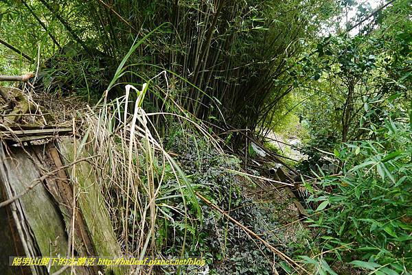 P1370729.jpg P1370729.jpg