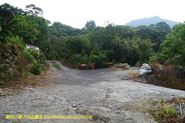 P1370732.jpg P1370732.jpg