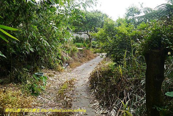 P1370731.jpg P1370731.jpg