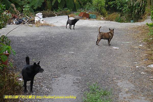 P1370734.jpg P1370734.jpg