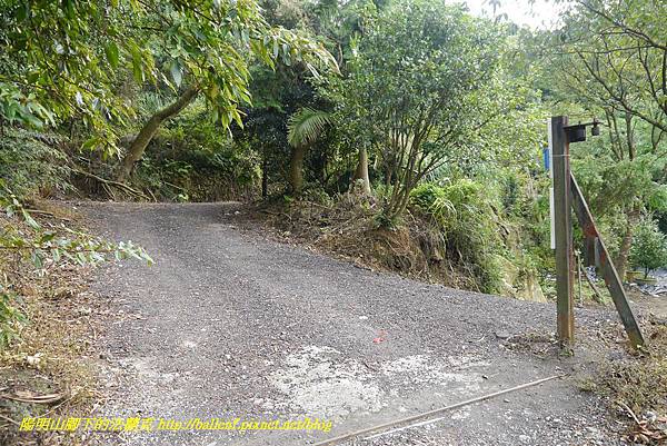 P1370735.jpg P1370735.jpg