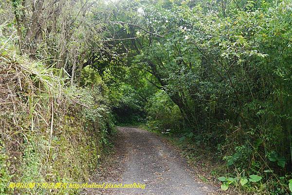 P1370737.jpg P1370737.jpg