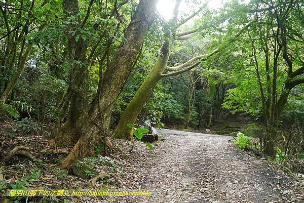 P1370738.jpg P1370738.jpg