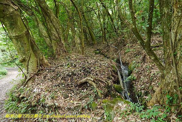 P1370739.jpg P1370739.jpg