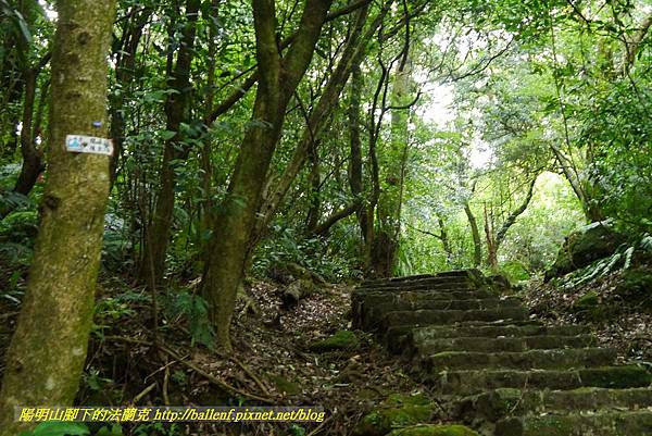 P1370742.jpg P1370742.jpg