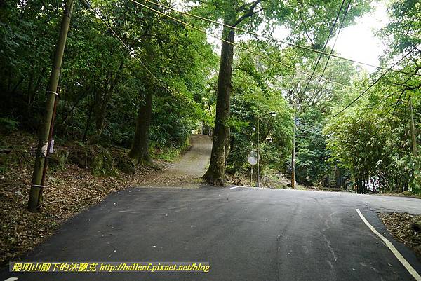 P1370745.jpg P1370745.jpg