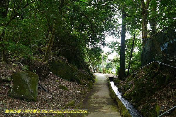 P1370754.jpg P1370754.jpg