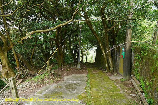 P1370759.jpg P1370759.jpg