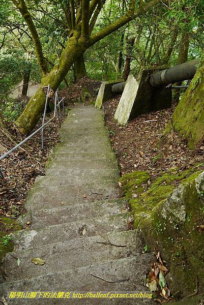 P1370764.jpg P1370764.jpg