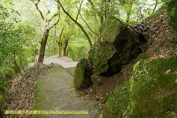 P1370766.jpg P1370766.jpg