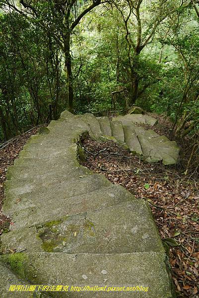 P1370768.jpg P1370768.jpg