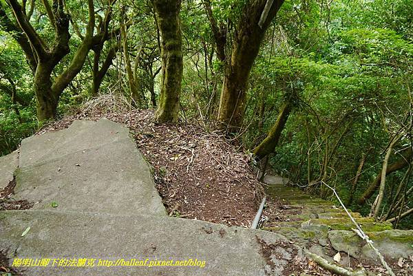 P1370767.jpg P1370767.jpg