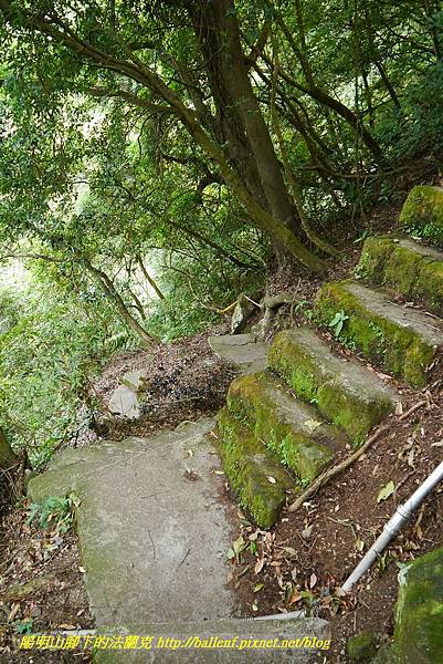 P1370769.jpg P1370769.jpg