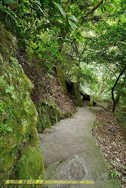 P1370771.jpg P1370771.jpg