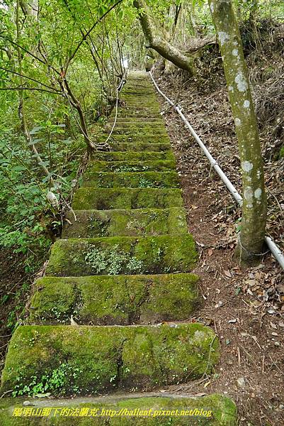 P1370770.jpg P1370770.jpg