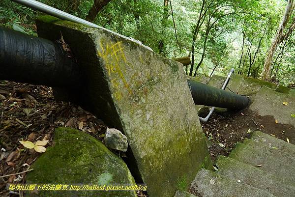 P1370772.jpg P1370772.jpg