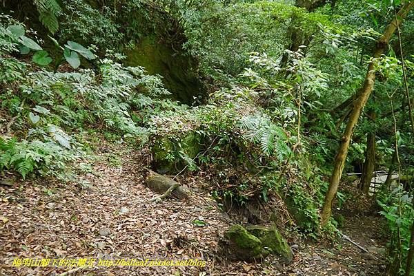 P1370774.jpg P1370774.jpg