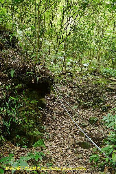 P1370775.jpg P1370775.jpg