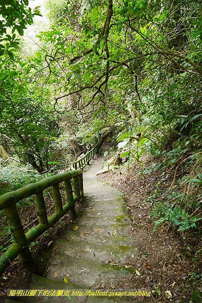 P1370779.jpg P1370779.jpg