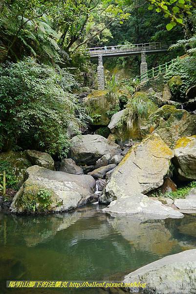 P1370781.jpg P1370781.jpg