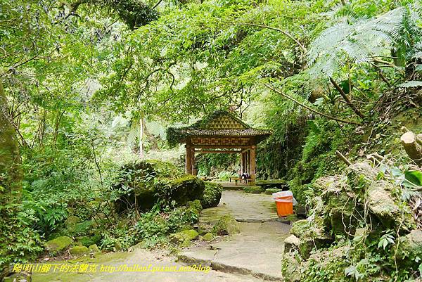 P1370785.jpg P1370785.jpg