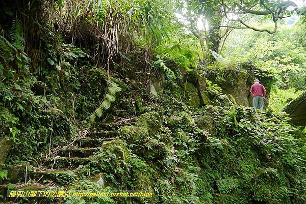 P1370786.jpg P1370786.jpg