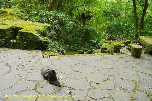 P1370787.jpg P1370787.jpg