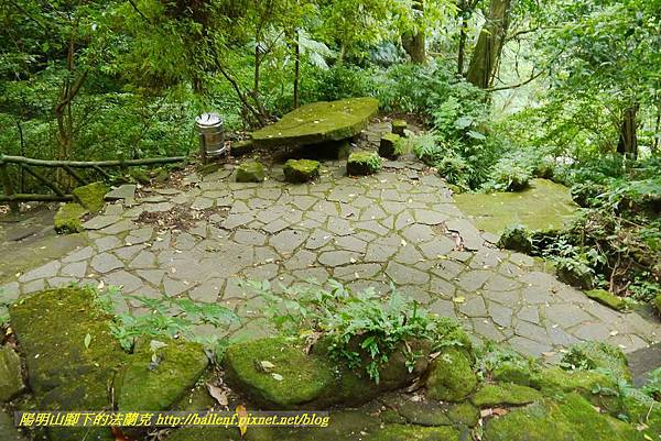 P1370788.jpg P1370788.jpg