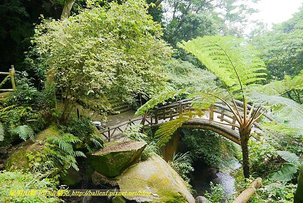 P1370791.jpg P1370791.jpg