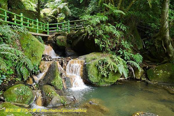 P1370795.jpg P1370795.jpg