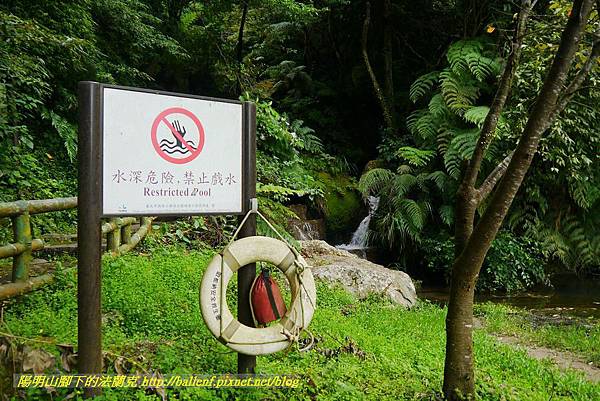 P1370797.jpg P1370797.jpg